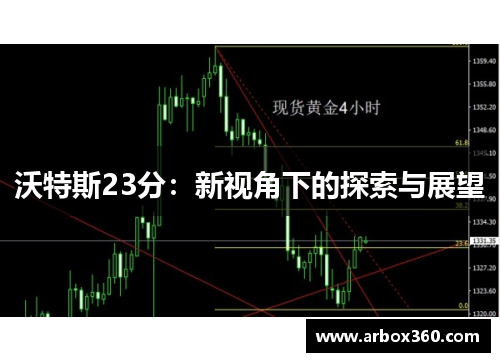 沃特斯23分：新视角下的探索与展望